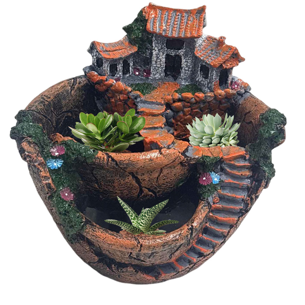 Винтажный декоративный горшок  – обзор и цена Echeveria Succulent